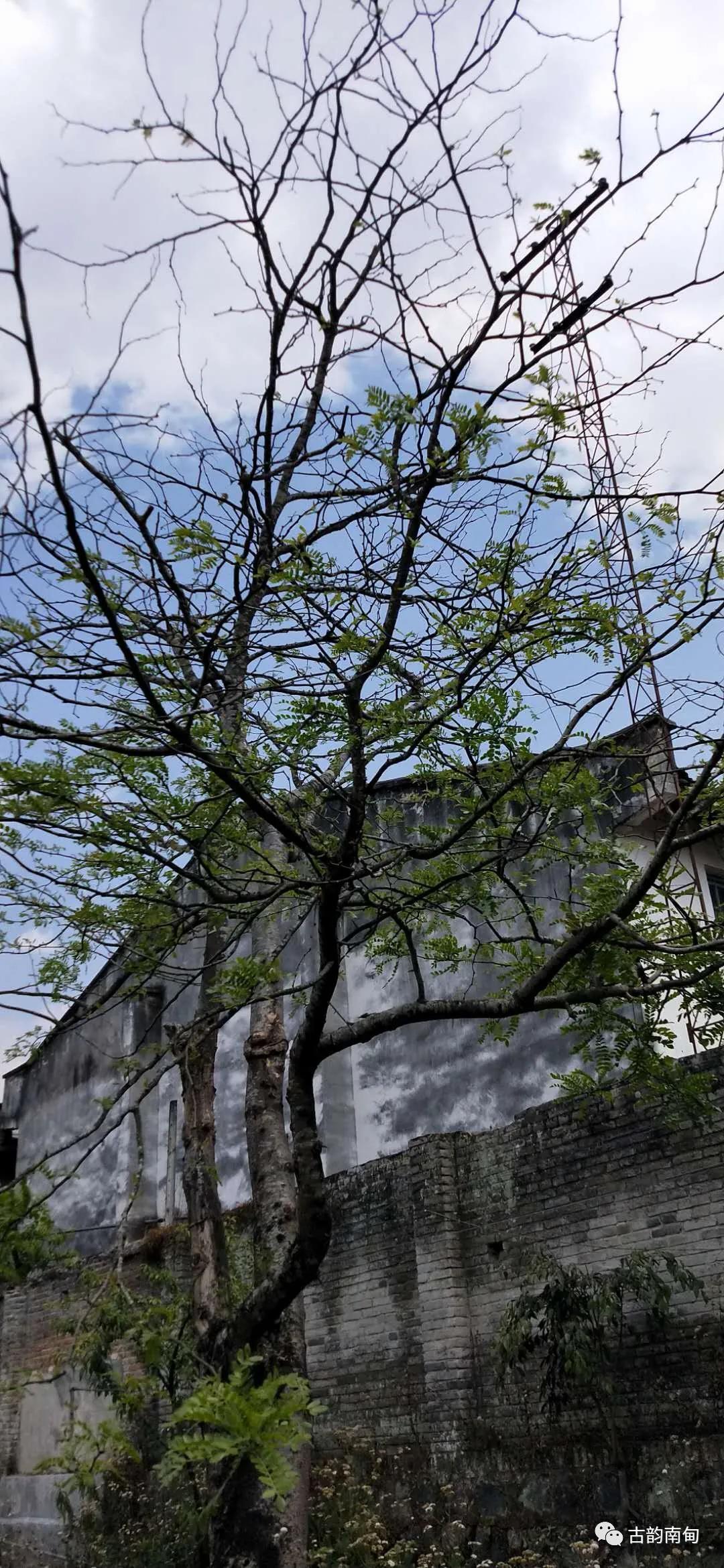 姊佹渤鐗硅壊缇庨,姊佹渤鐗硅壊缇庨鎺ㄨ崘