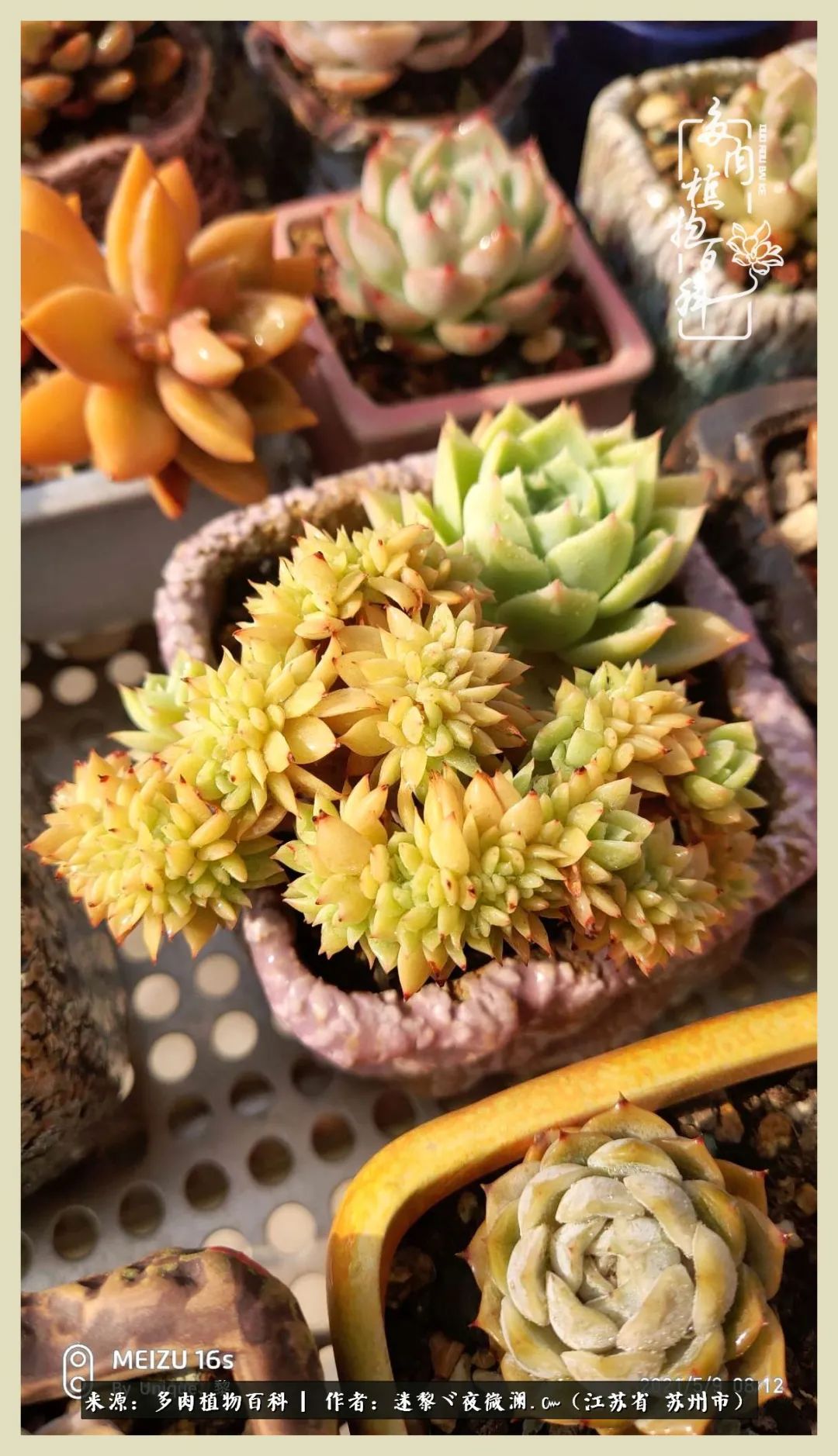 秋尽冬来岁月不居时节如流,岁月不居时节如流水