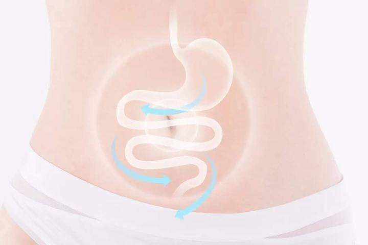 肠道微生物如何影响大脑,肠道微生物与大脑之间相互作用