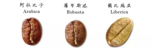 泡咖啡如何正确加炼乳,咖啡可以用炼乳拉花吗