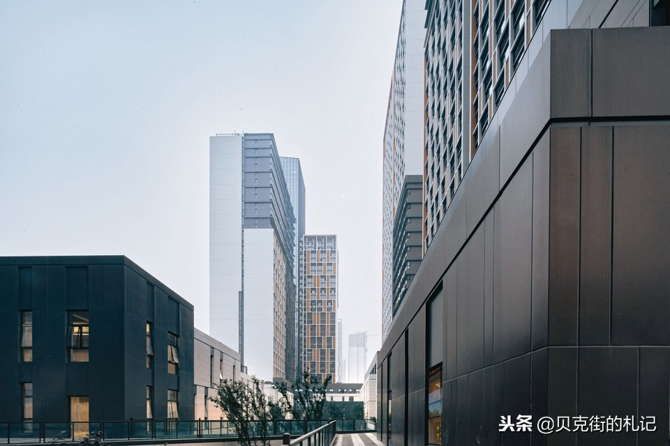 自然生长原生态,万科城多少钱一平方