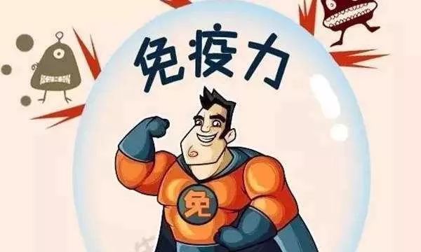什么肉增强免疫力,多吃肉可以增强免疫力吗