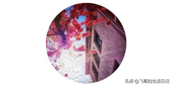 绕口令提高孩子记忆力和反应,绕口令口才训练儿童6-7岁100首