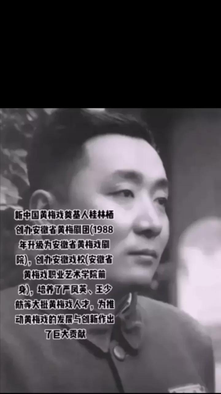 湖北黄梅戏是哪里的,湖北哪个县黄梅戏最多
