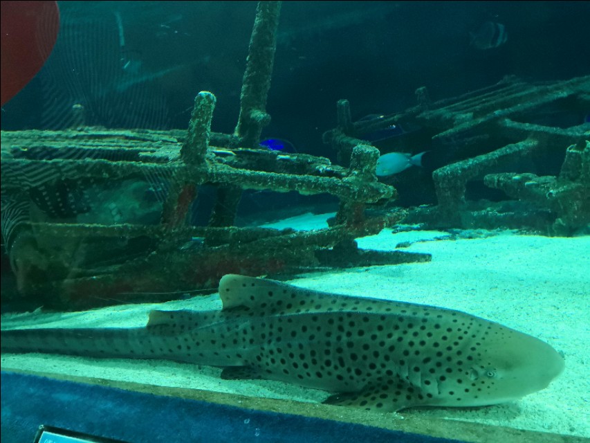 北京工体富国海底世界周一营业,北京工体富国海底世界旅馆