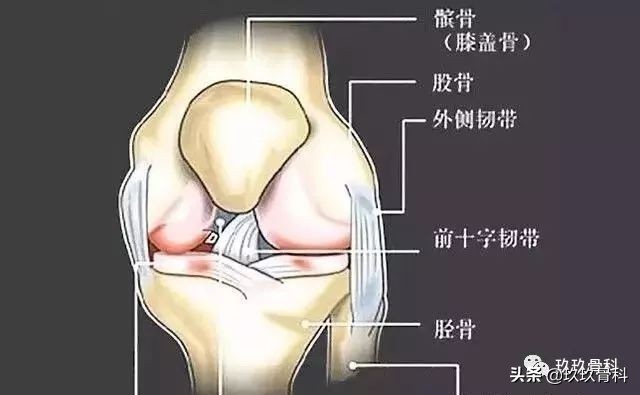 膝盖疼原来是腿向跑偏,膝盖走不准就疼一下是咋回事