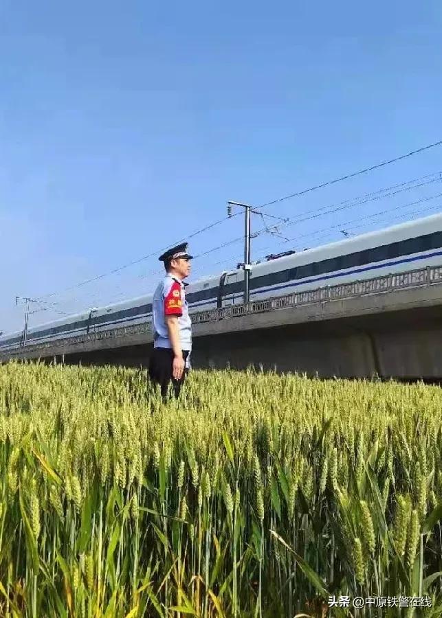 麦田里的守望者歌曲,麦田里的守望者下载