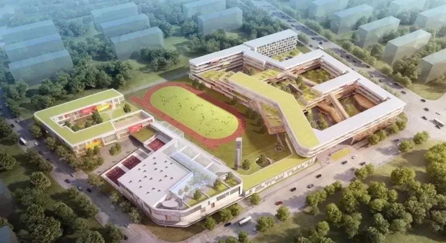 2020上海新开学校,上海新招生大学