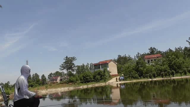 钓不到目标鱼怎么钓,钓不到鱼要死守还是换地方