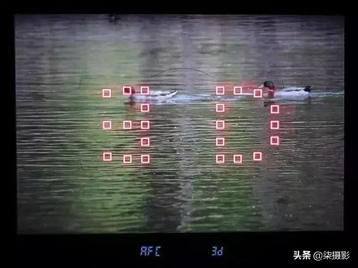 聚焦区域和自动对焦模式的选择,6d对焦模式和对焦区域