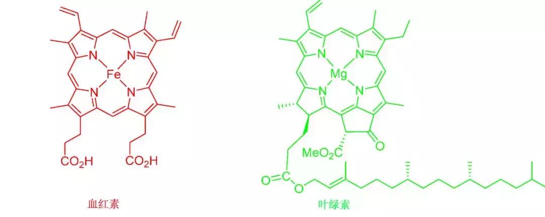 大麦青汁真的可以瘦身吗,大麦若叶青汁真的有减肥功效吗