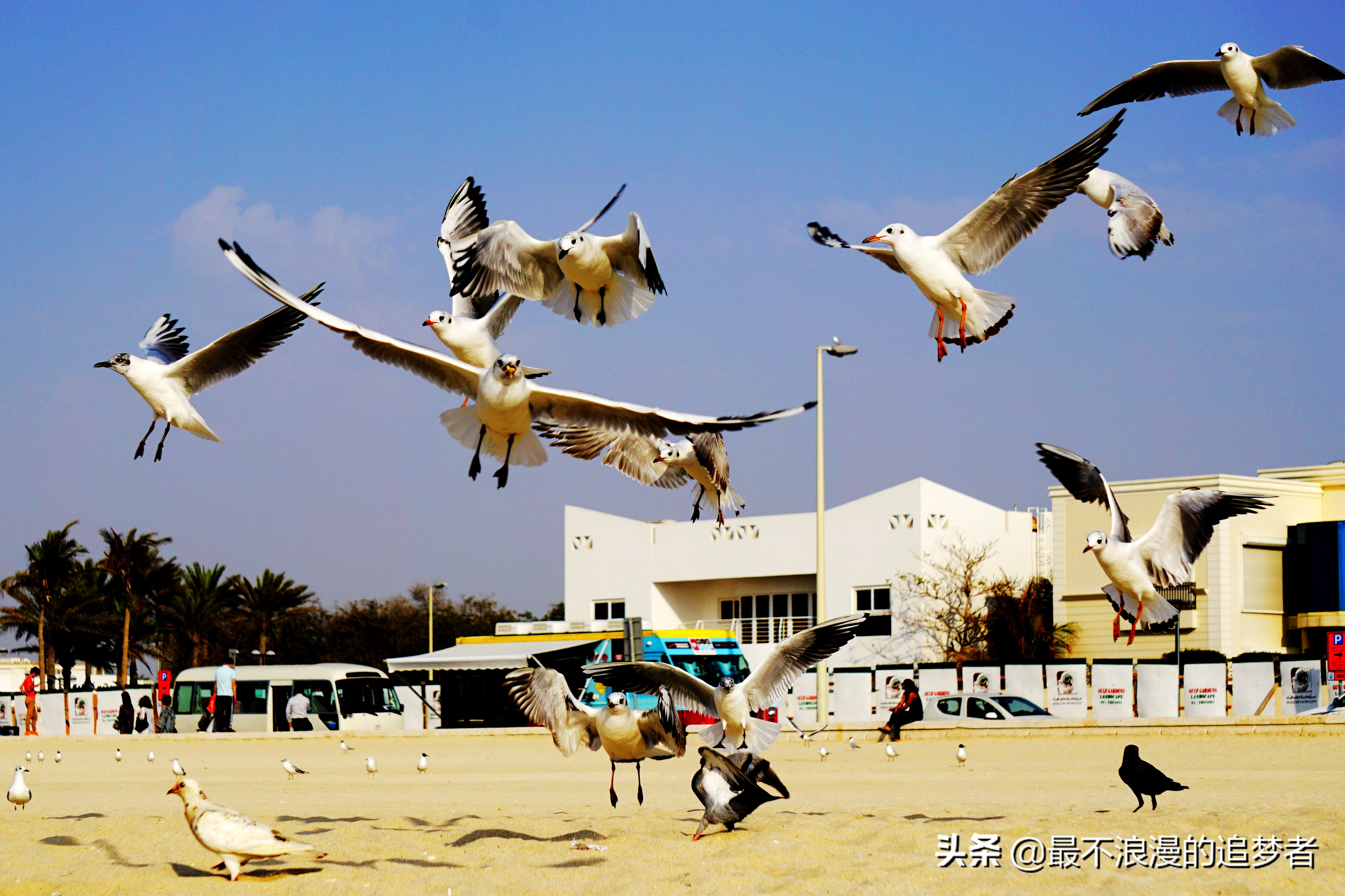 阿联酋迪拜的旅游感想,阿联酋迪拜旅游攻略