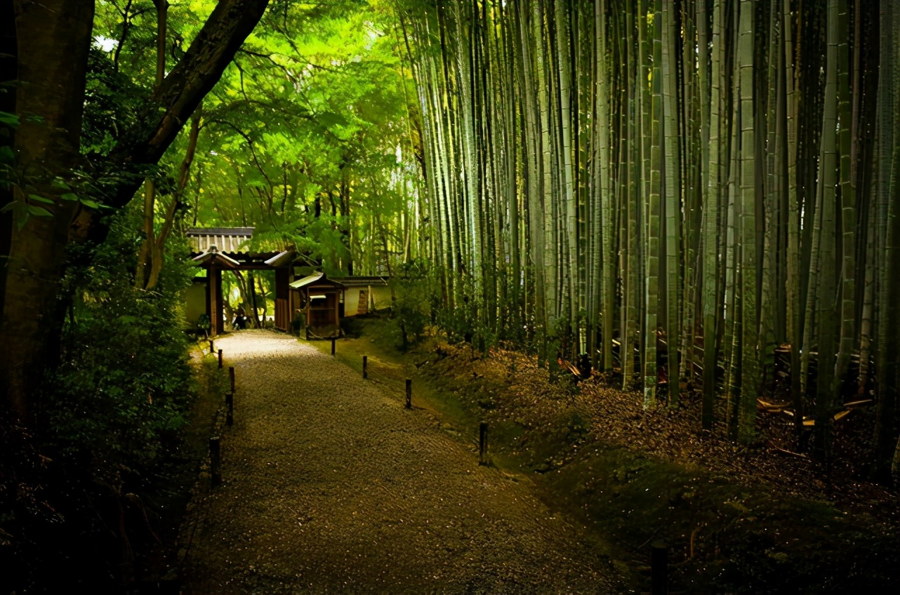 人类与外星生物融为一体,外星植物属于外星生命吗