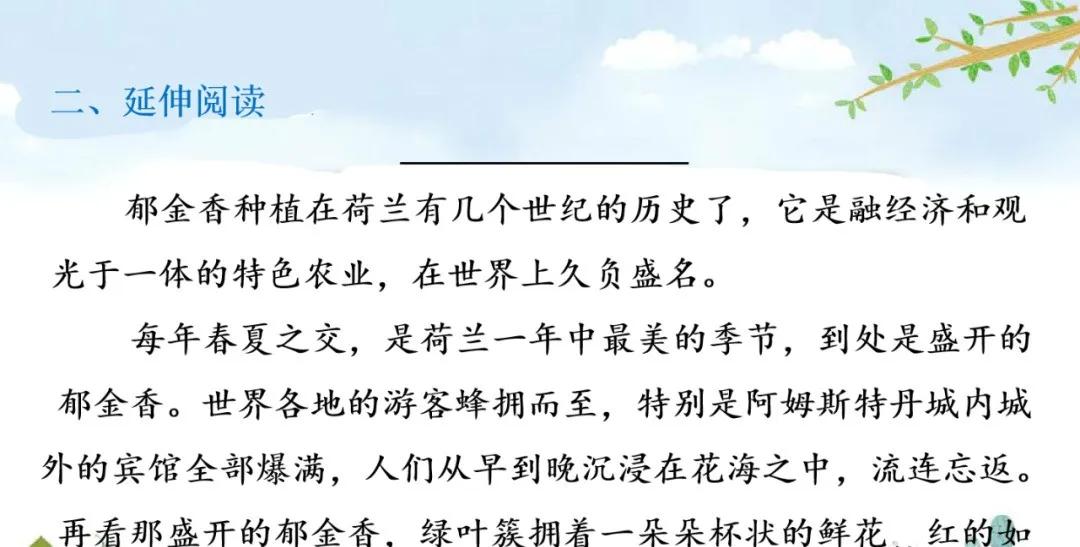 五下语文第19课牧场之国预习笔记,部编版五年级语文下册19牧场之国