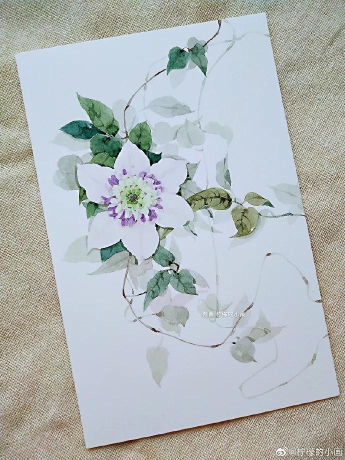 分享一组好看的小清新水彩插画,不来看看简单水彩小插画的教程吗