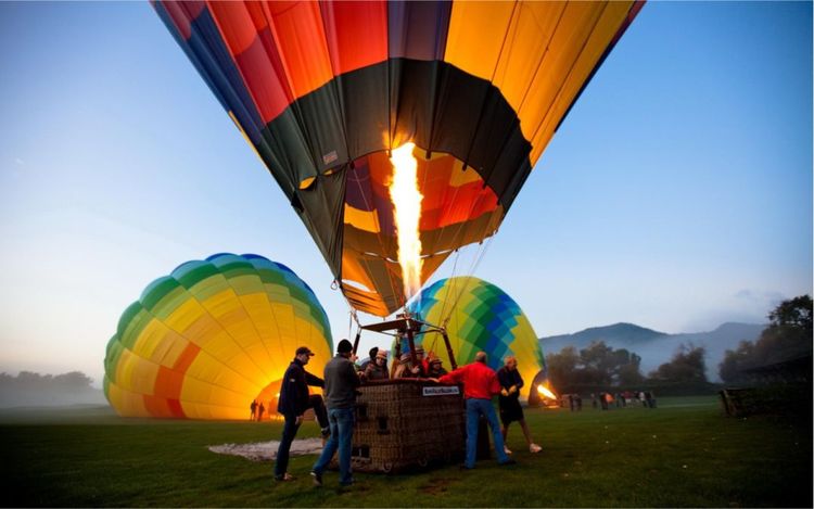 新春打卡重庆香水百合网红艺术节，坐小火车、玩玻璃滑道...