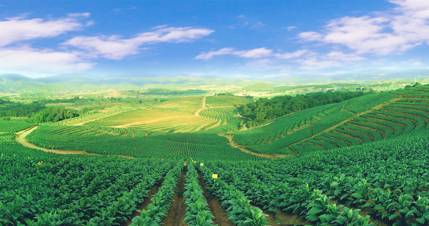 陈绪武，从纸媒到短视频，20年逐梦前行