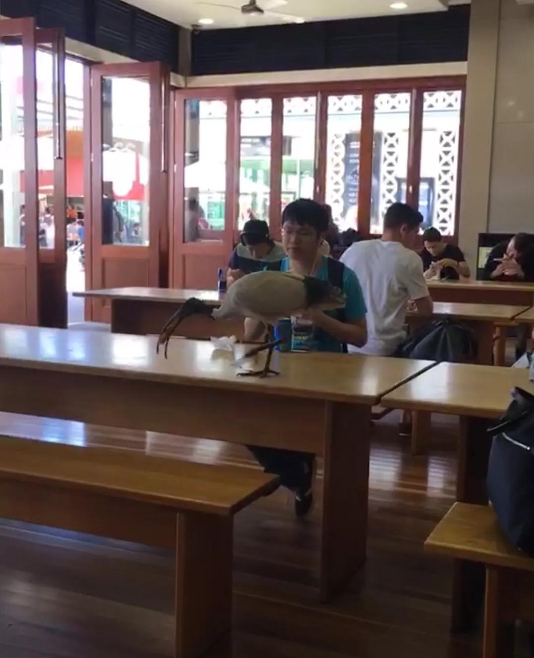 如何识别留学生,如何证明留学生身份