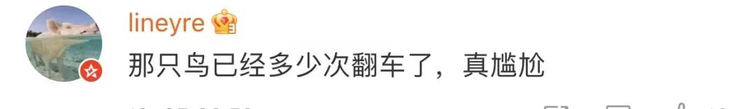 太平鸟又抄袭？网友：你是学人鸡吗？