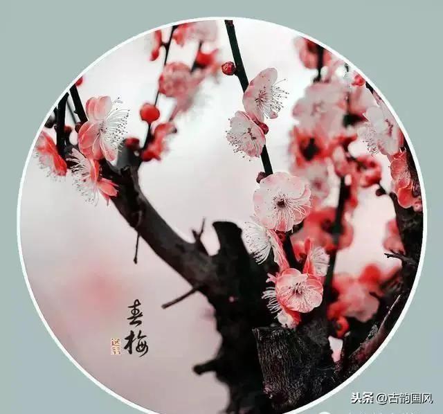 对联应掌握的90个知识点,对联知识点整顿