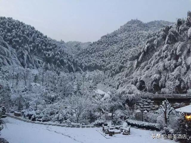 为一姑娘，10年他把30亩荒地打导致梦想家园，让人懂得真爱的意义