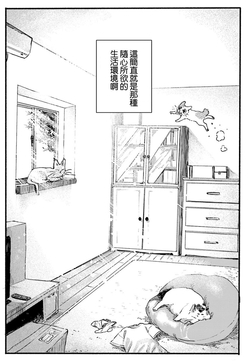 清新治愈！和3只猫一起生活的日子！又要骗我养猫！