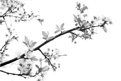 考研英语作文主题词预测,2020考研英语作文常考8类主题词