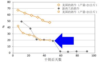 peter鍗氬＋鑲插効璇惧爞,鑻卞浗peter