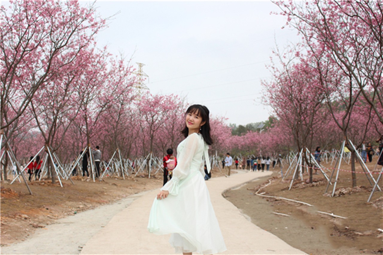 广东湛江龙头镇麻皮岭风水宝地,湛江有条村风水宝地