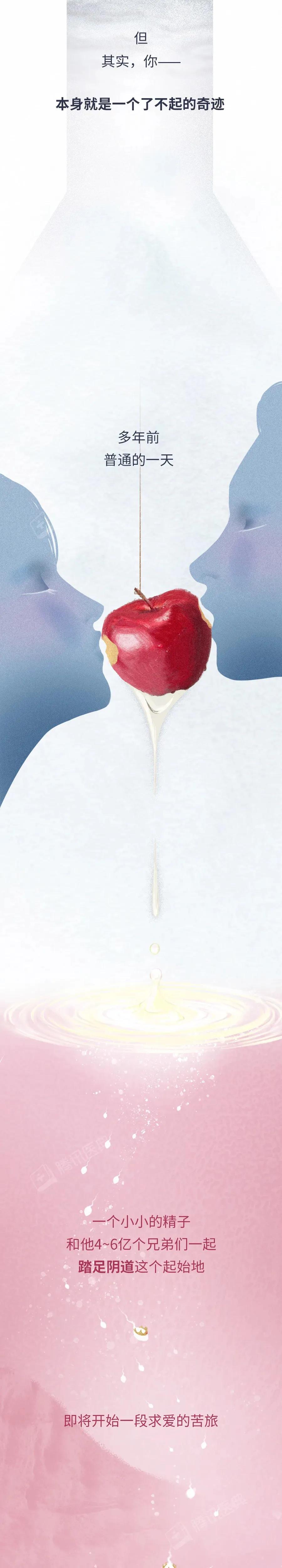 精子与卵子结合孕育生命全过程,精子和卵子孕育的全过程