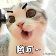 多伦多美式家具店,多伦多家具推荐