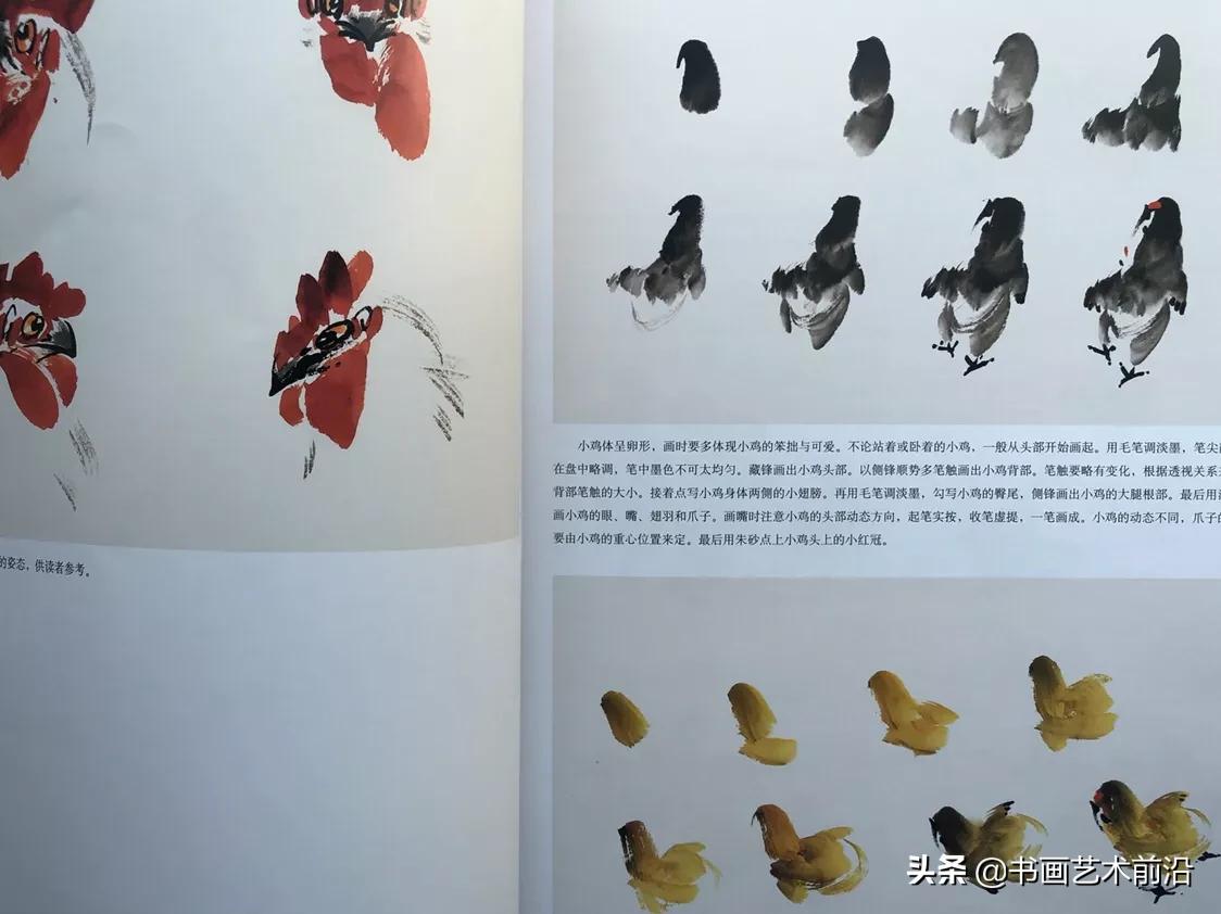 名家画鸡的画法视频,画大写意鸡名家