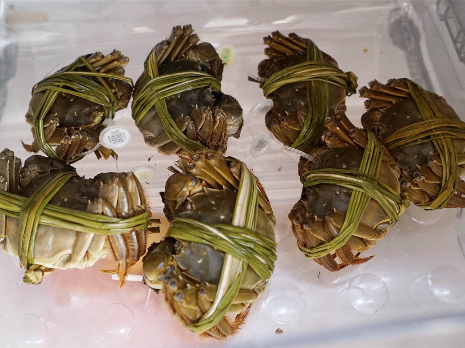 大闸蟹最好的季节是什么时候吃,大闸蟹什么季节吃最肥美