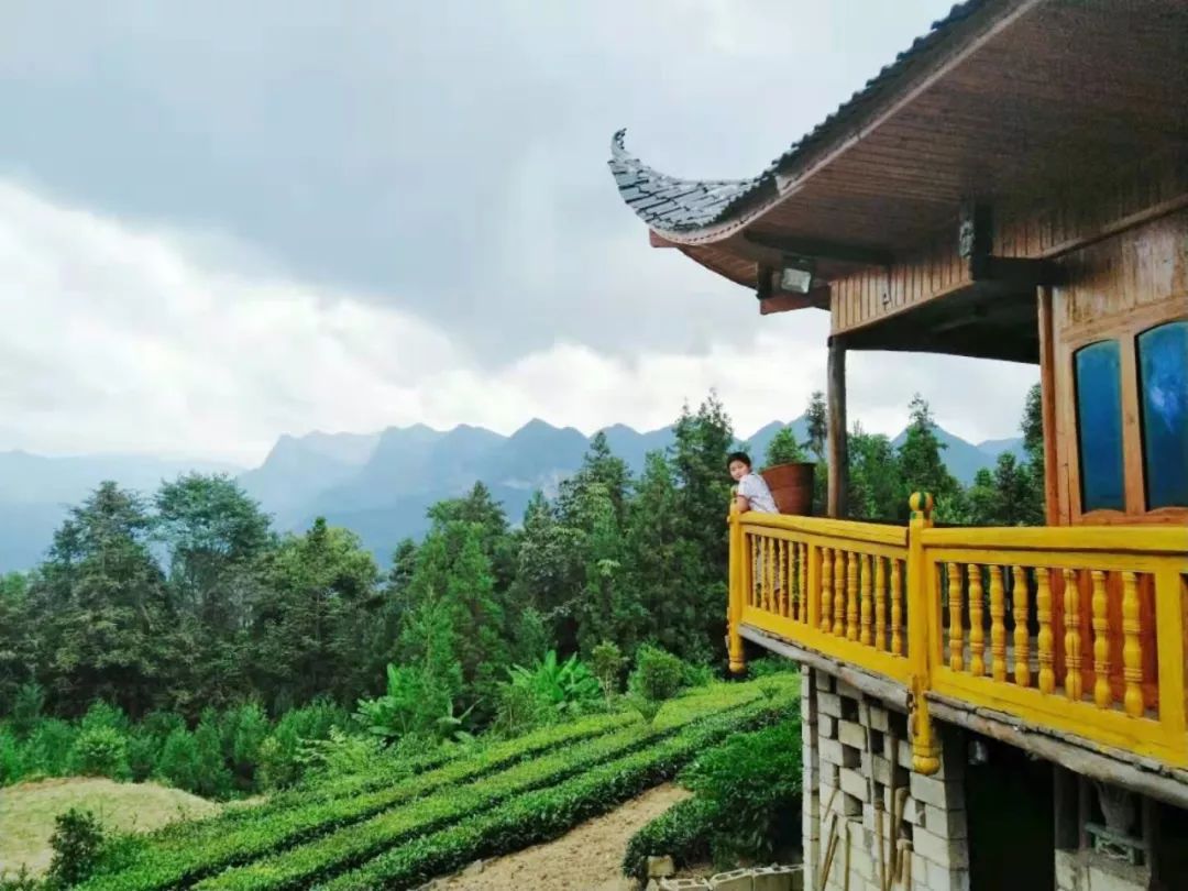 恩施鹤峰旅游攻略一天,恩施鹤峰旅游攻略