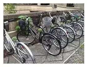 “日本最高学府”的东京大学，是一所怎样的学校？