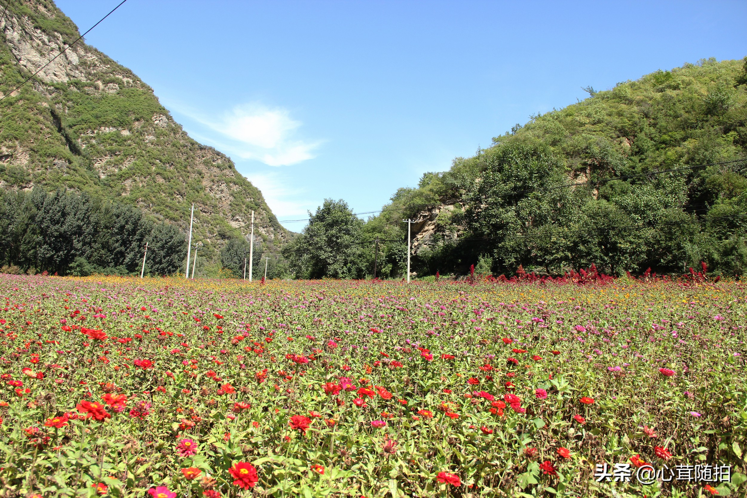 自驾白河湾,白河湾自然风景区自驾