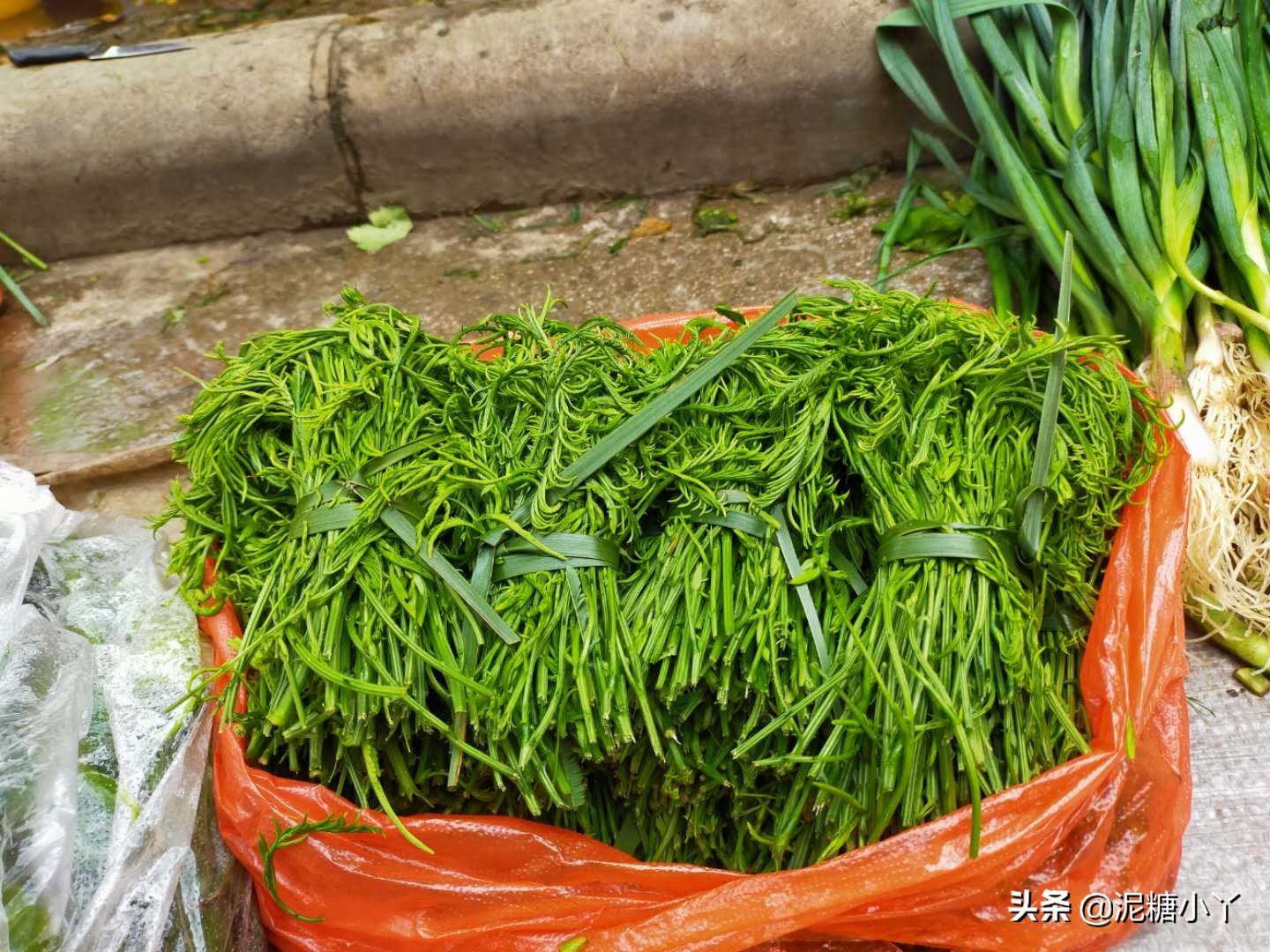 兄台请留步，南方农村里的菜你认识几种，进来说一说