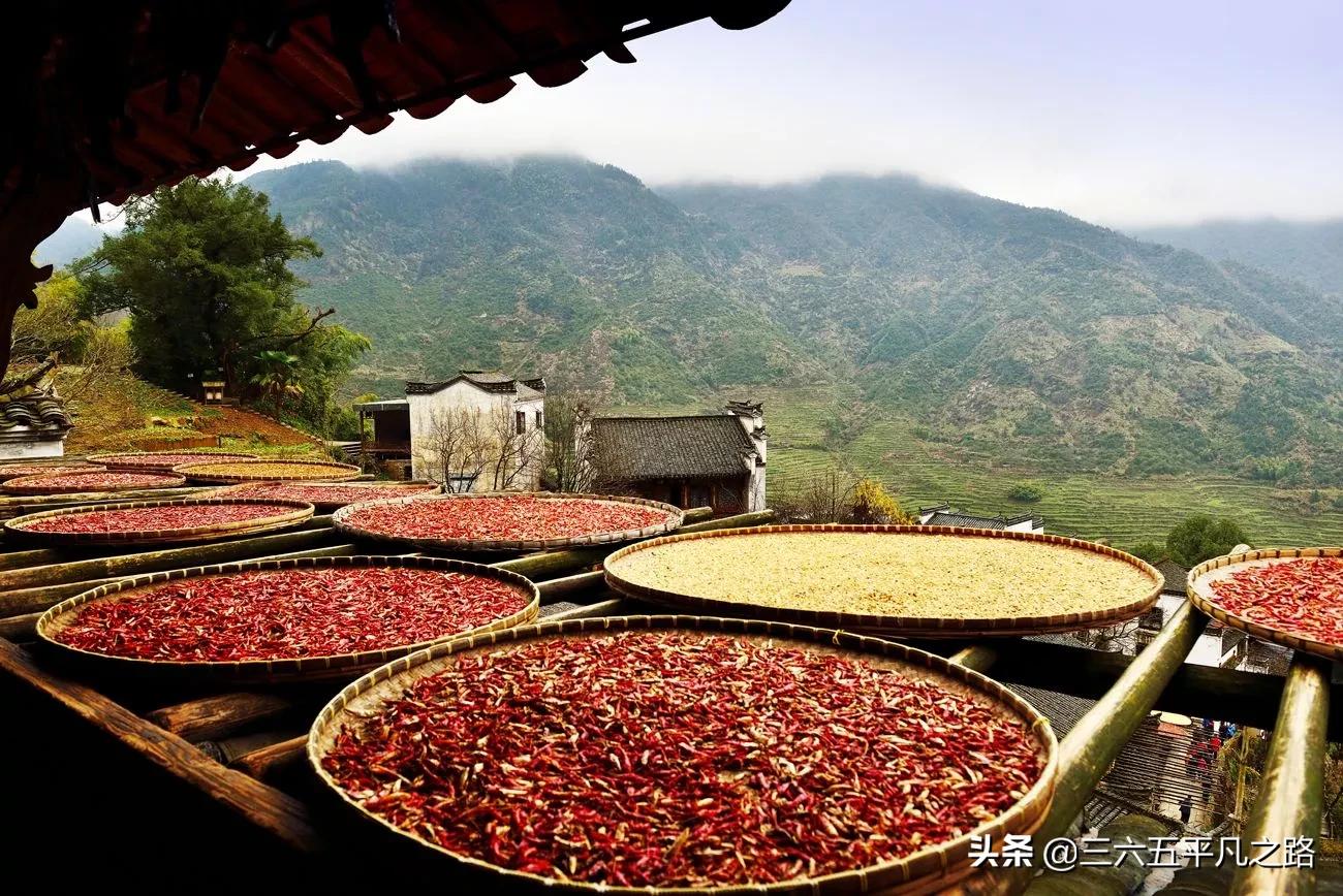 重阳节的来历重阳节有什么习俗,什么是传统节日重阳节的来历
