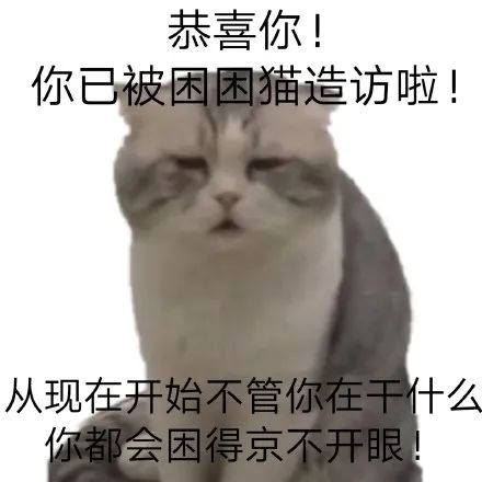 为什么贴吧会那么多人,贴吧什么时候开始存在的