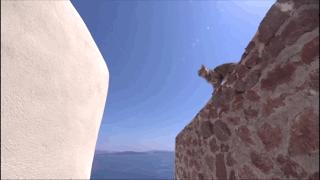 吸猫最高境界图片,吸猫最高境界完整视频