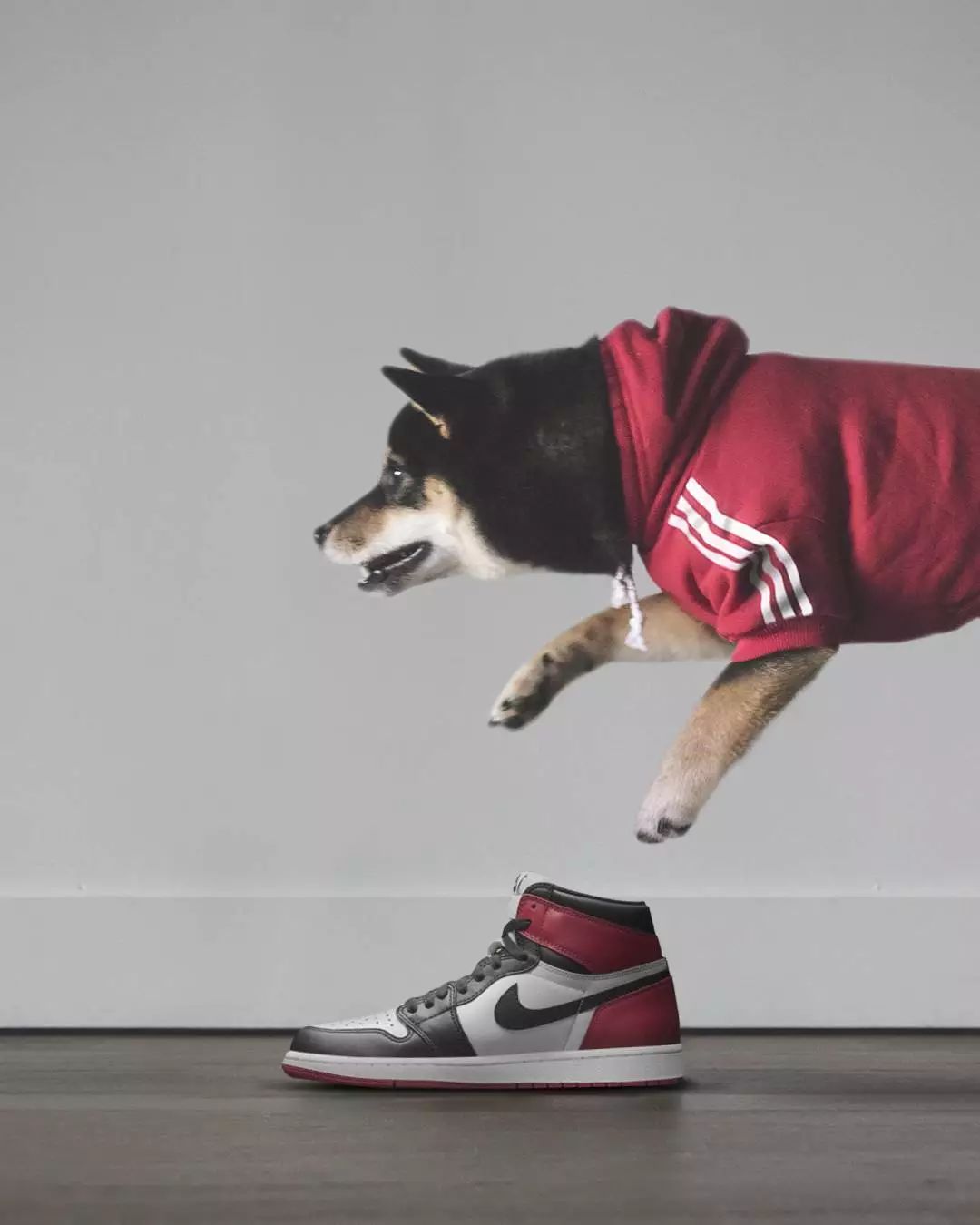 支撑着每个热衷NIKE的“鞋狗”精神。