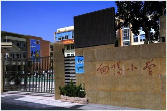 上海十大最好小学排行榜,上海各区体育特点学校