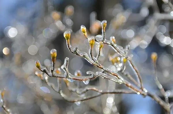 安徽最值得打卡的十大旅行地,安徽十大最好玩的山