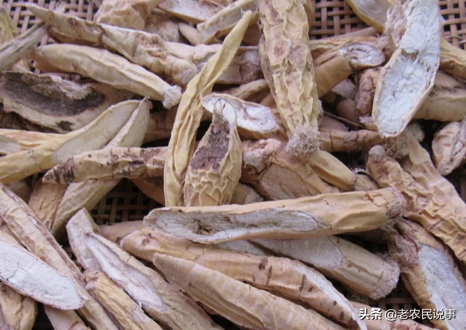 牛大力19元,牛大力为什么涨价