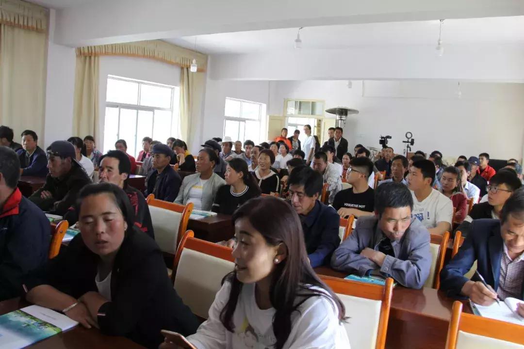 如何快速搭建农村电商平台,五个最好的农村电商平台