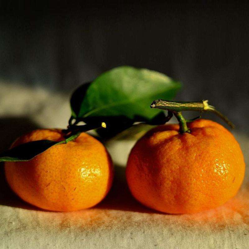 这七种水果的功效你要知道,这5种水果煮着吃美颜又养生