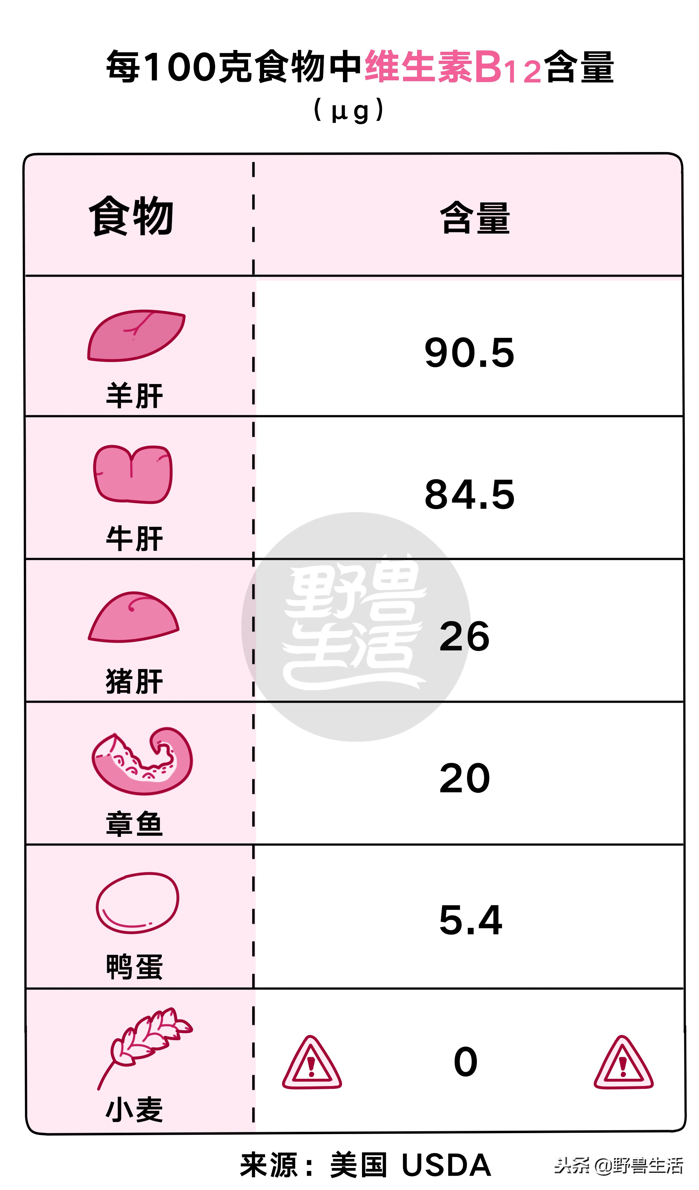 猪肝可以补充哪种维生素,猪肝千万别生吃