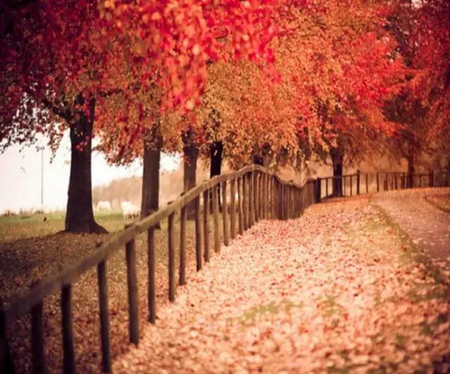 什么样的心灵鸡汤最能触动人心,触动人心的心灵鸡汤10字