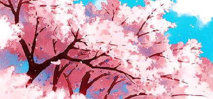 天津赏花好玩的公园,天津东丽湖哪里可以赏花