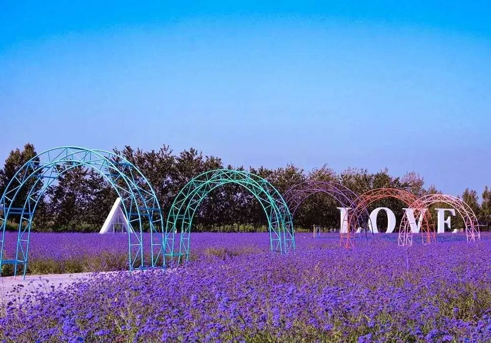 在石家庄生活需要什么条件,在石家庄生活中的技巧